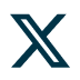 X (Twitter)